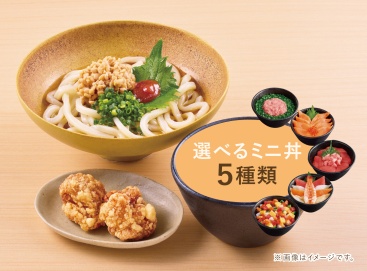 L165 梅しそ納豆うどんセット