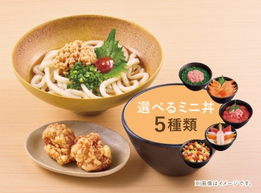 L165 梅しそ納豆うどんセット