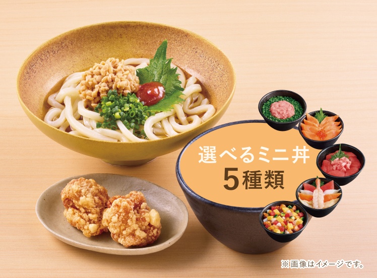 L165 梅しそ納豆うどんセット