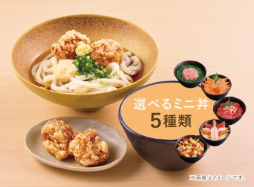 L166 竜田マヨうどんセット